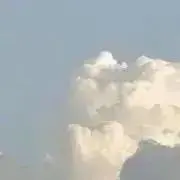 Mの画像