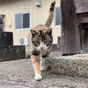 kururu