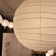 noyの画像