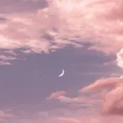 ꪔ̤̮