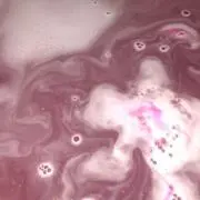 奏の画像