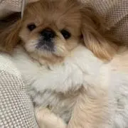 8937