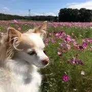 mrの画像