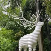 Yuyuco