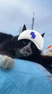 くみの画像