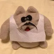 ヤッコの画像