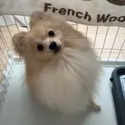 マッキーーの画像