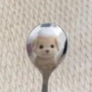 _57の画像
