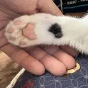 ゆーきの画像