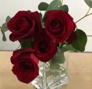 melek