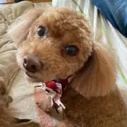 なおちゃん