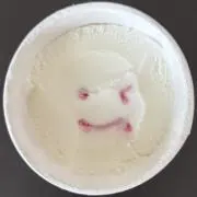 はらぺこあおむしの画像