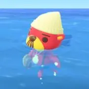 ohnの画像