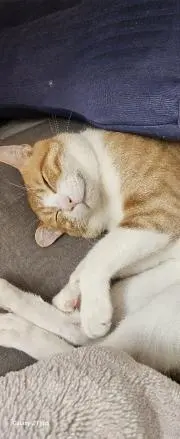 温泉の街