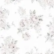ゆらの画像
