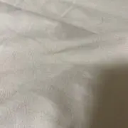 ひにの画像