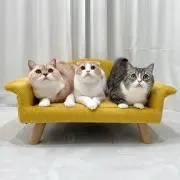 355
