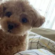 rieの画像