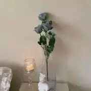 ハルの画像