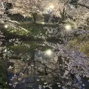しゃよう