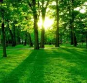 HappyGreenの画像