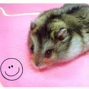 にゃす☺︎