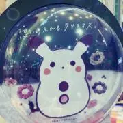 ゆきたまの画像