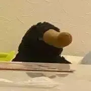 ニフラーの画像