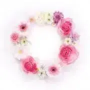 ✳︎nana✳︎ 断捨離中⭐︎靴服ポケカの画像