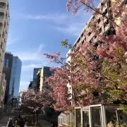 ゆるの画像