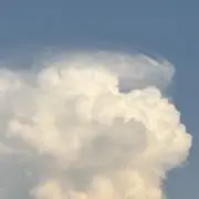 まるまるの画像