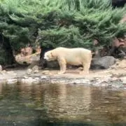 うーの画像