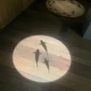 おさかなさんの画像