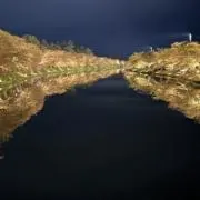 かりうめの画像