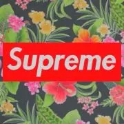 バージェス