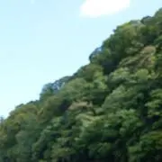 のしつの画像