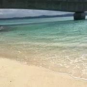 ビリーの画像