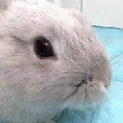 (´・_・`)