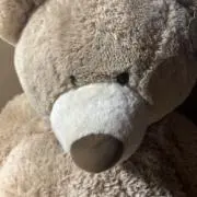 シドの画像