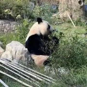 つけめん