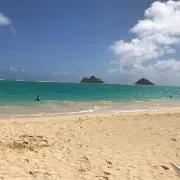 マリンサーフ
