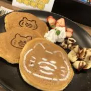 ごじらの画像