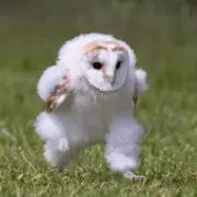 ⭐️の画像