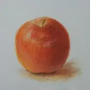 のりの画像