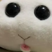 もちこ