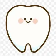 歯ちゃんの画像