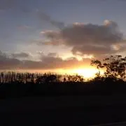 Zackyの画像