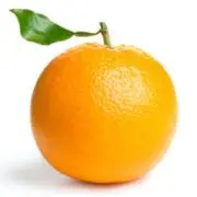 Ｏの画像