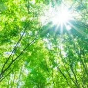 セレクトGo39の画像