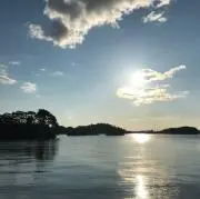 むさしの画像